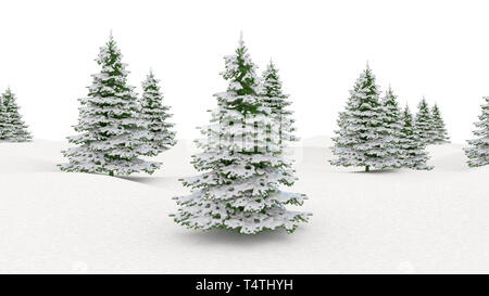 Winter Landschaft verschneite Landschaft und tanne Weihnachtsbäume isoliert auf weißem Hintergrund Stockfoto