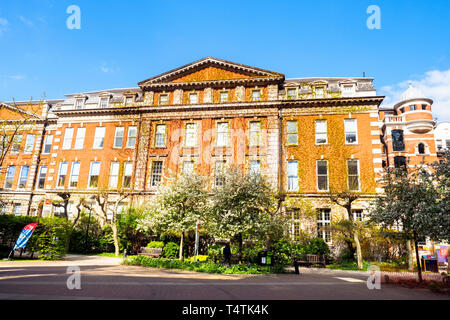 King's College Hodgkin Gebäude - London, England Stockfoto