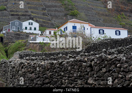 Die traditionellen Weinberge an den Hängen des Sao Lourenco's Bay, im Osten die Küste von Santa Maria, Azoren Stockfoto