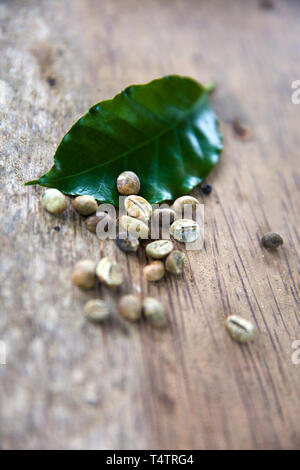 Kopi Luwak Kaffee Bohnen und Blatt auf dem Holztisch Stockfoto