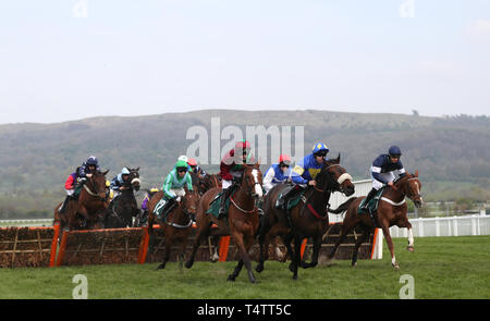 Läufer und Reiter in Aktion während der catesby Estates PLC Stuten "Handicap Hürde bei Tag zwei der Sitzung im April bei Cheltenham Racecourse. Stockfoto