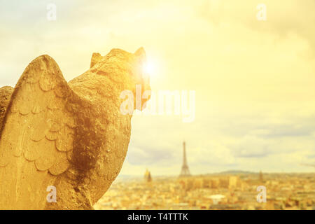 Nahaufnahme der eine mythologische gargoyle Statue der Kathedrale Notre Dame auf die Skyline von Paris bei Sonnenuntergang. Paris Stadt Frankreichs. Luftaufnahme der gotische Kirche Stockfoto