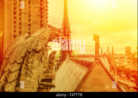 Mythologische Wasserspeier Statue der Kathedrale Notre Dame in Brand gesetzt im April 2019. Paris Hauptstadt von Frankreich. Draufsicht auf die gotische Kirche Unsere Liebe Frau Stockfoto