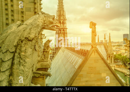 Mythologische Wasserspeier-Statue der Kathedrale Notre Dame auf der Skyline von Paris bei Sonnenuntergang. Paris Hauptstadt von Frankreich. Von oben aus gesehen die gotische Kirche Stockfoto