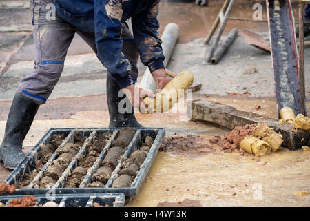 Driller Erlangung Bodenproben in Kunststoff core Box. Boden langweilig und Bodenproben für Geologen untersuchen. Selektive konzentrieren. Stockfoto