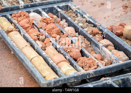 Die Bodenproben in Kunststoffbox. Boden langweilig und Bodenproben für Geologen untersuchen. Selektive konzentrieren. Stockfoto