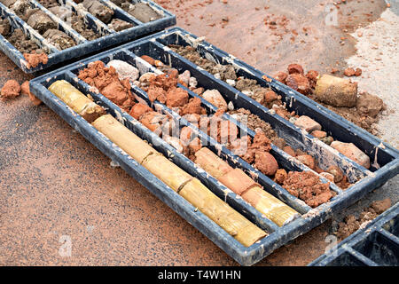 Die Bodenproben in Kunststoffbox. Boden langweilig und Bodenproben für Geologen untersuchen. Selektive konzentrieren. Stockfoto