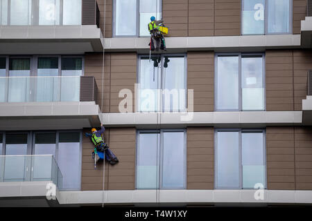 Mit Seil ein hohes Gebäude zu reinigen, steeplejack funktioniert. Bergsteiger wäscht Windows. Stockfoto