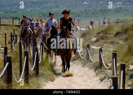 Escursion a Caballo por las Dunas, Son Serra de Marina, Mallorca, Balearen, Spanien. Stockfoto