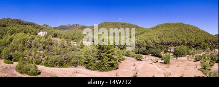 Pinar de Canet, Esporles, Sierra de Tramuntana, Mallorca, Balearen, Spanien, Europa. Stockfoto