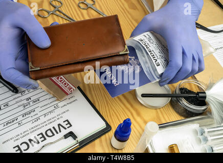 Polizei expert Prüfung der amerikanischen Pass und Geldbeutel ein Beweis Tasche in kriminalistische Labor, konzeptionelle Bild Stockfoto