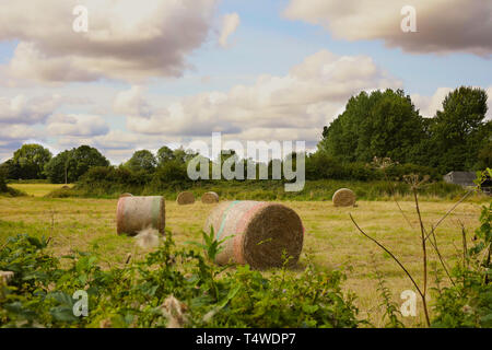 Einem Feld neben Funken Mill Lane in Beverley, East Yorkshire im Sommer mit frisch geschnittenen runde Heuballen warten gesammelt werden Stockfoto