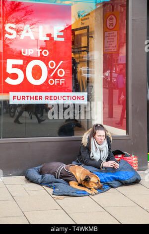 Obdachlose Frau Bettler mit Hund außerhalb des Ladens in Cheltenham England Accessorize sitzen, betteln, Kunden und Passanten Stockfoto