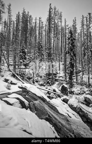 In der Nähe von hrebienok Smokovec, Slowakei Stockfoto