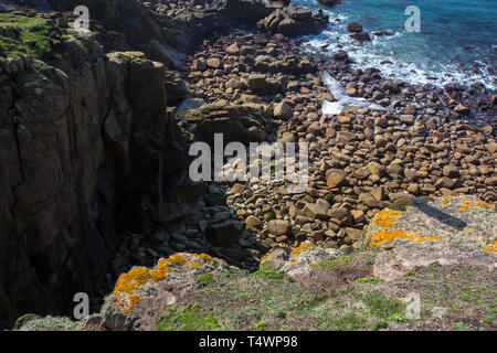 Northern Eissturmvogel, Fulmarus glacialis Höhenflug im Aufwind bei Lands End, Cornwall, UK. Stockfoto