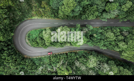 Luftaufnahme der kurvenreichen Straße durch die dichten Wälder auf dem hohen Berg in Encumeada, Ribeira Brava, Madeira. Stockfoto