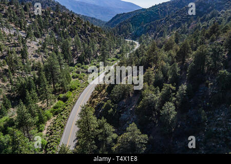 Straße biegt durch einen Berg Canyon in einem südlichen Kalifornien Wald. Stockfoto