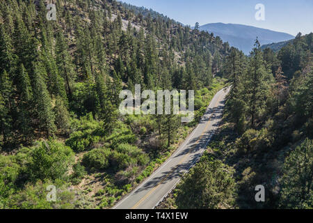 Schmale Landstraße führt durch ein bewaldetes Tal in den Bergen von Südkalifornien. Stockfoto