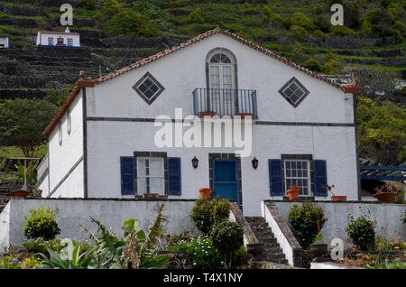 Die traditionellen Weinberge an den Hängen des Sao Lourenço Bay, in der östlichen Küste von Santa Maria Island, Azoren Stockfoto