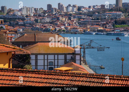 Porto, Portugal. 22. März 2019. Blick auf die alfandega Gebäude wie Customs House verwendet wird nun als Kongress- und Veranstaltungs- zentrum in der Innenstadt von Porto verwendet Stockfoto