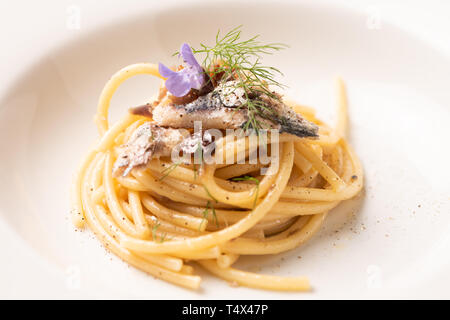 Bucatini, italienische Pasta mit Sardinen, Nahaufnahme Stockfoto