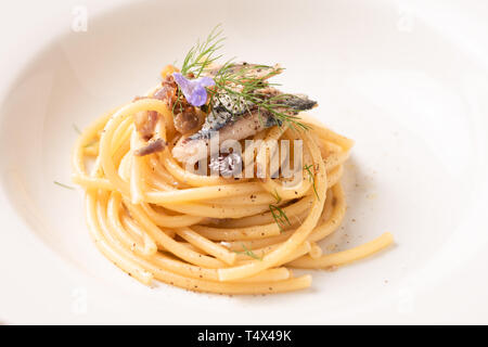 Bucatini, italienische Pasta mit Sardinen, Nahaufnahme Stockfoto