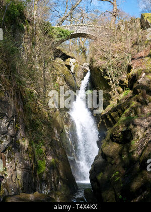 Aira tritt Wasserfall im Lake District, Cumbria in North West England, Großbritannien Stockfoto