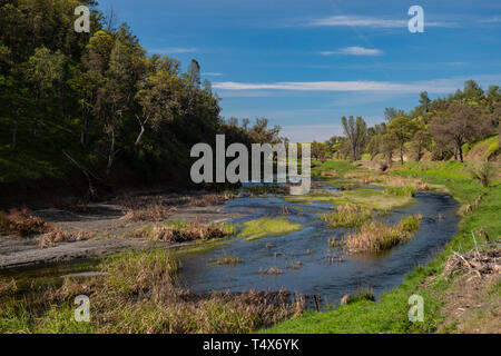 Bear Creek, Colusa County, Kalifornien Stockfoto