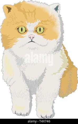 Cat Vector Illustration Stock Vektor