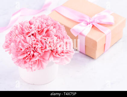 Platz kopieren, Nahaufnahme, Mock up, clipping path. Muttertag Formulierung Konzept Design. Schönen frischen blühenden Baby rosa Nelken auf brig isoliert Stockfoto