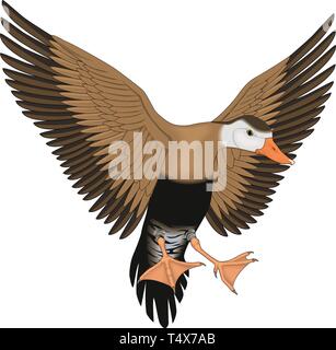 Pfeifen Ente fliegen Vector Illustration Stock Vektor