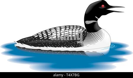 Loon Schwimmen Vector Illustration Stock Vektor