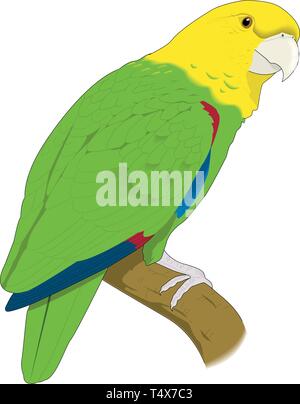 Papagei auf einer Stange Vector Illustration Stock Vektor