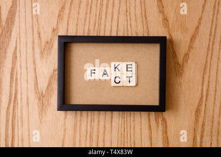 FAKE, TATSACHE Wortblock auf Holz Hintergrund. Stockfoto