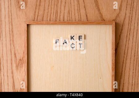 FAKE, TATSACHE Wortblock auf Holz Hintergrund. Stockfoto