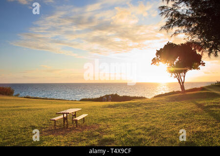 Bermuda, Südküste, West Whale Bay Park Stockfoto