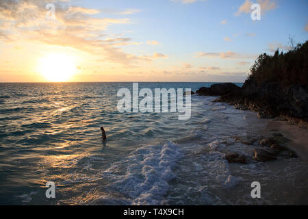 Bermuda, Südküste, West Whale Bay Park Stockfoto