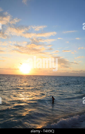 Bermuda, Südküste, West Whale Bay Park Stockfoto