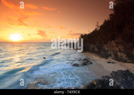 Bermuda, Südküste, West Whale Bay Park Stockfoto