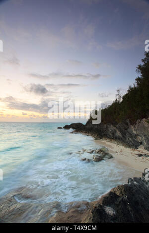 Bermuda, Südküste, West Whale Bay Park Stockfoto