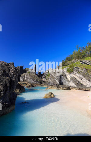 Bermuda, Southhampton Parish, Horseshoe Bay Beach Stockfoto