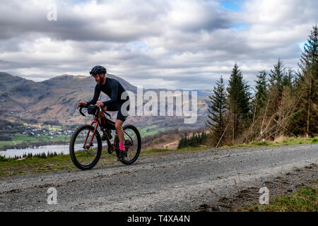 Ein Mann auf einer Schotterpiste an Grizedale Forest touring über Coniston Water im Lake District, England, Kies, Radwandern. Stockfoto