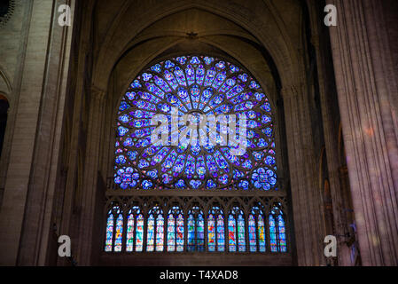 Die glasmalereien Rosette der Kathedrale Notre Dame in Paris, Frankreich Stockfoto