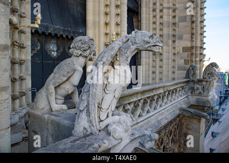 Die wasserspeier an der Spitze der Kathedrale Notre Dame in Paris, Frankreich Stockfoto