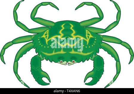 Krabbe Vector Illustration Stock Vektor