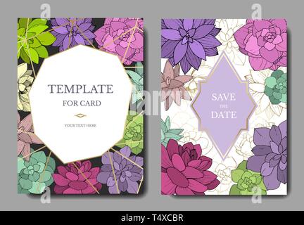 Vektor Sukkulenten floral botanischen Blume. Graviert Tinte Art Hochzeit hintergrund Karte Blumen dekorativ Grenze. Stock Vektor