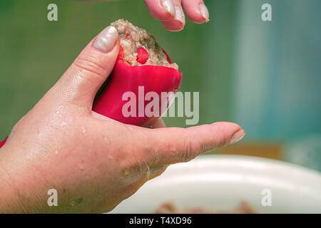 Mit Hackfleisch gefüllte Paprika. Kochen Stockfoto