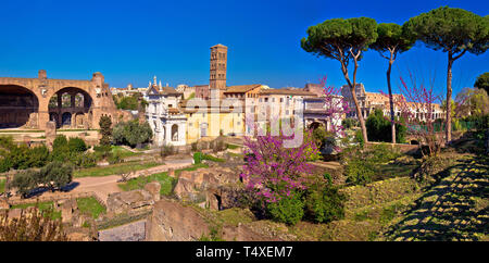 Scenic Frühling Blick über die Ruinen des Forum Romanum in Rom, der Hauptstadt Italiens Stockfoto