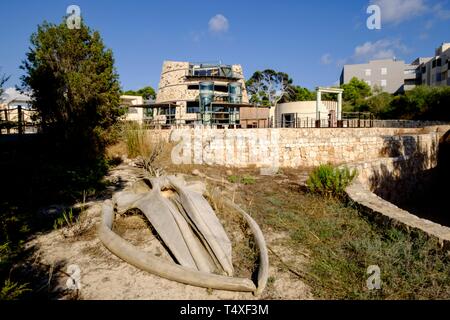 Centro de Visitantes del Parque Nacional maritimo Terrestre del Inselgruppe de Cabrera, Colonia de Sant Jordi, Mallorca, Balearen, Spanien, Europa. Stockfoto