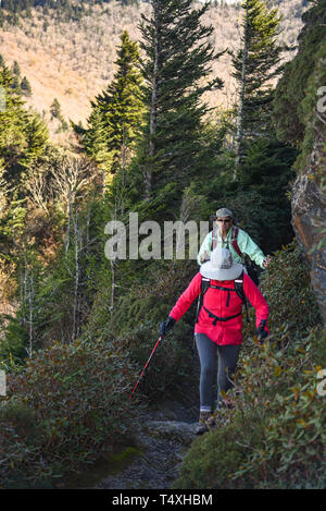 Einem erwachsenen passen ältere Paare wandern entlang schmaler Pfad in Charlies Bunion im Great Smoky Mountains National Park, in der Nähe von Gatlinburg, TN, USA Stockfoto